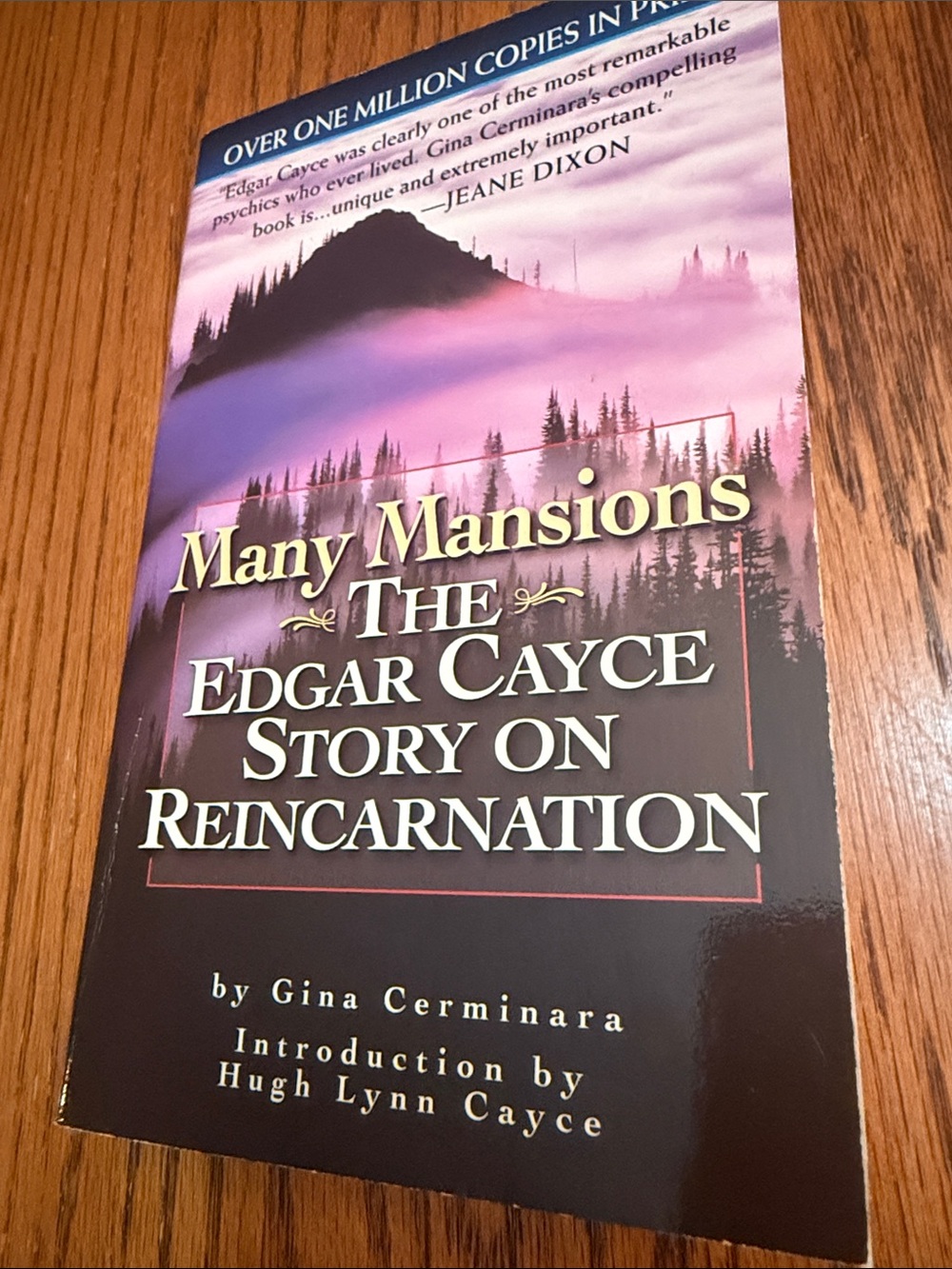Mary Mansions The Edgar Cayce Story On Reincarnation Paperback Novel